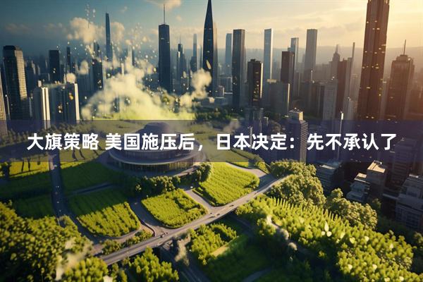 大旗策略 美国施压后，日本决定：先不承认了