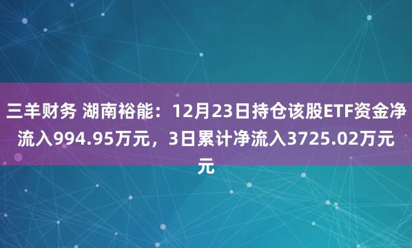 三羊财务 湖南裕能：12月23日持仓该股ETF资金净流入994.95万元，3日累计净流入3725.02万元