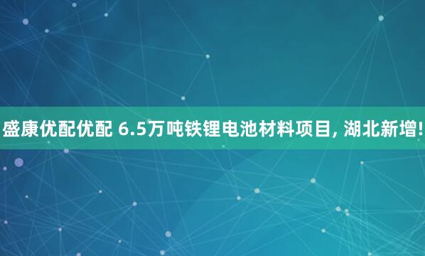 盛康优配优配 6.5万吨铁锂电池材料项目, 湖北新增!
